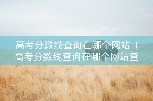 高考分数线查询在哪个网站（高考分数线查询在哪个网站查）