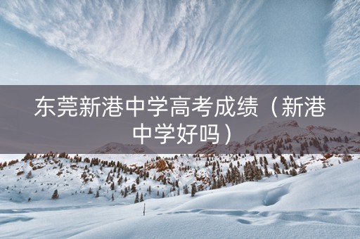 东莞新港中学高考成绩（新港中学好吗）