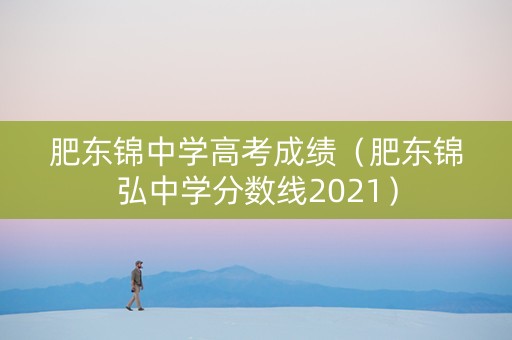 肥东锦中学高考成绩（肥东锦弘中学分数线2021）