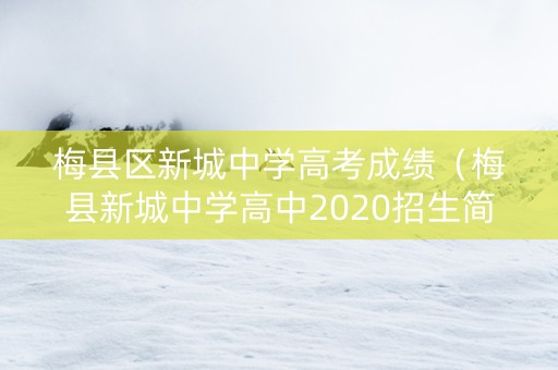 梅县区新城中学高考成绩（梅县新城中学高中2020招生简介）