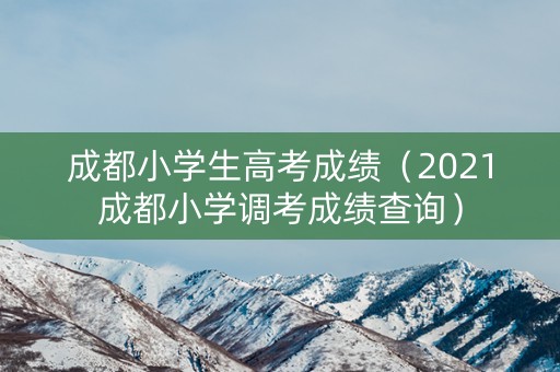成都小学生高考成绩（2021成都小学调考成绩查询）