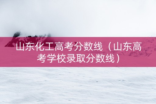 山东化工高考分数线（山东高考学校录取分数线）