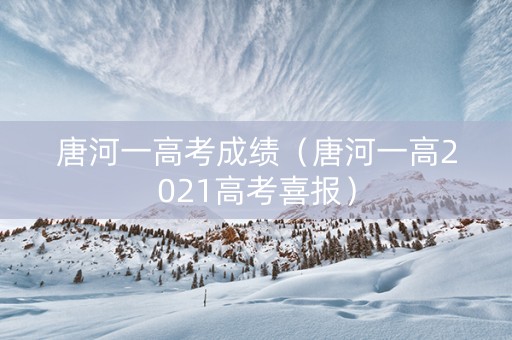 唐河一高考成绩（唐河一高2021高考喜报）