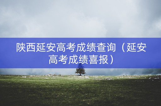 陕西延安高考成绩查询（延安高考成绩喜报）