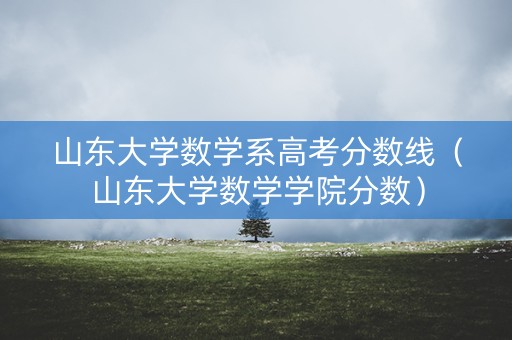 山东大学数学系高考分数线（山东大学数学学院分数）