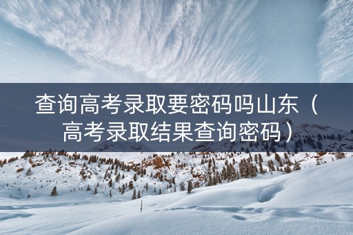 查询高考录取要密码吗山东（高考录取结果查询密码）