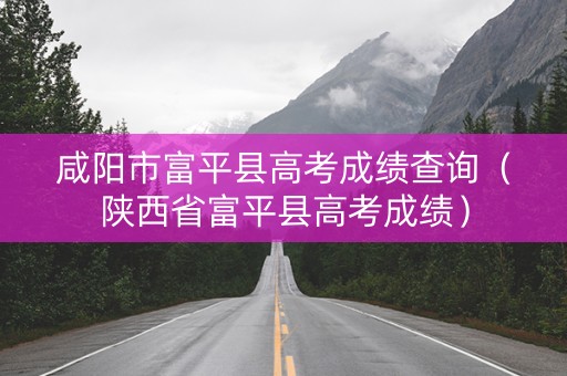咸阳市富平县高考成绩查询（陕西省富平县高考成绩）