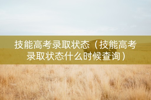 技能高考录取状态（技能高考录取状态什么时候查询）