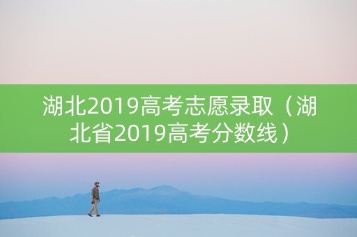 湖北2019高考志愿录取（湖北省2019高考分数线）