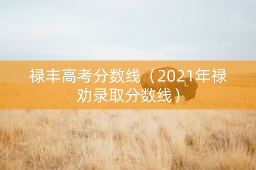 禄丰高考分数线（2021年禄劝录取分数线）