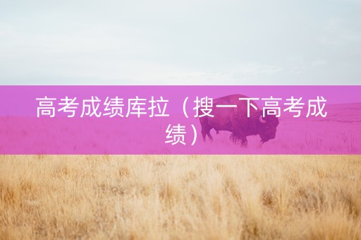 高考成绩库拉（搜一下高考成绩）