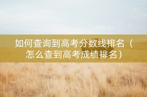 如何查询到高考分数线排名（怎么查到高考成绩排名）