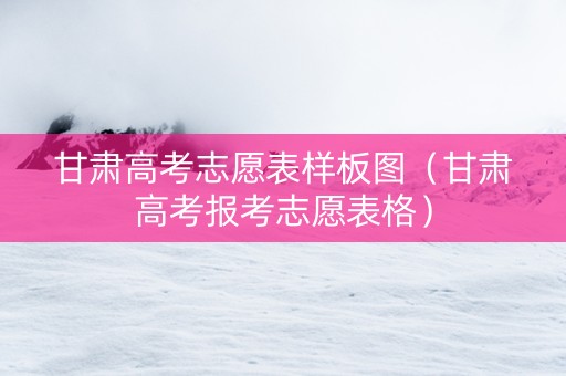 甘肃高考志愿表样板图（甘肃高考报考志愿表格）