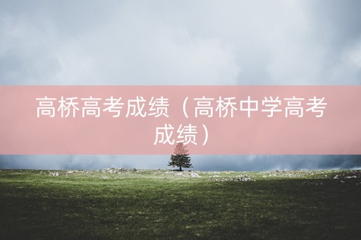 高桥高考成绩（高桥中学高考成绩）