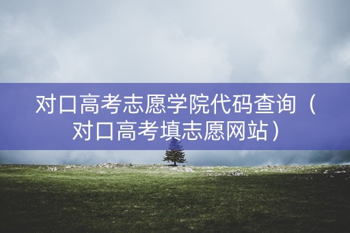 对口高考志愿学院代码查询（对口高考填志愿网站）