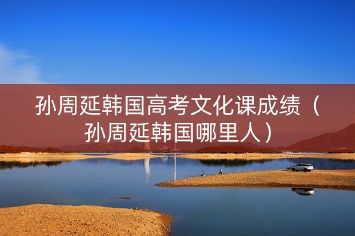 孙周延韩国高考文化课成绩（孙周延韩国哪里人）