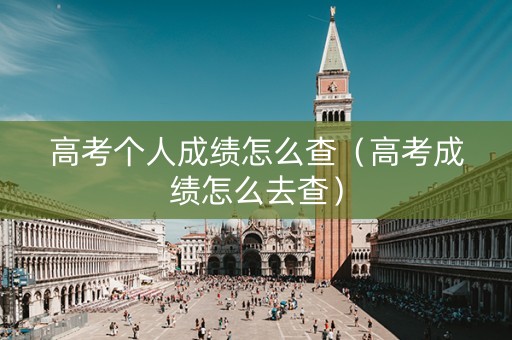 高考个人成绩怎么查（高考成绩怎么去查）