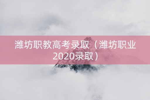 潍坊职教高考录取（潍坊职业2020录取）