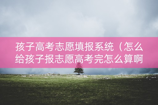 孩子高考志愿填报系统（怎么给孩子报志愿高考完怎么算啊）