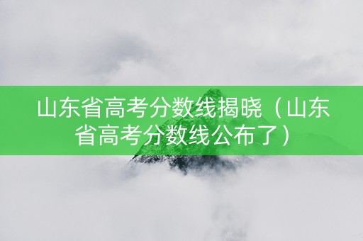 山东省高考分数线揭晓（山东省高考分数线公布了）