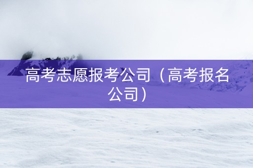 高考志愿报考公司（高考报名公司）