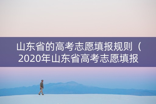 山东省的高考志愿填报规则（2020年山东省高考志愿填报规则）