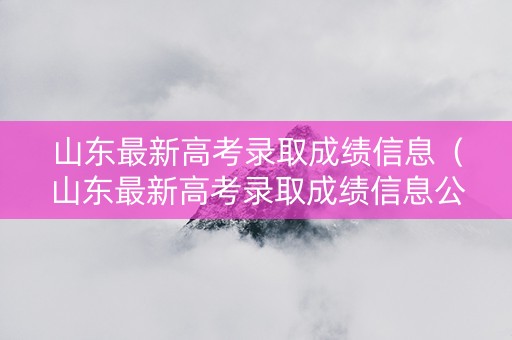 山东最新高考录取成绩信息（山东最新高考录取成绩信息公布）