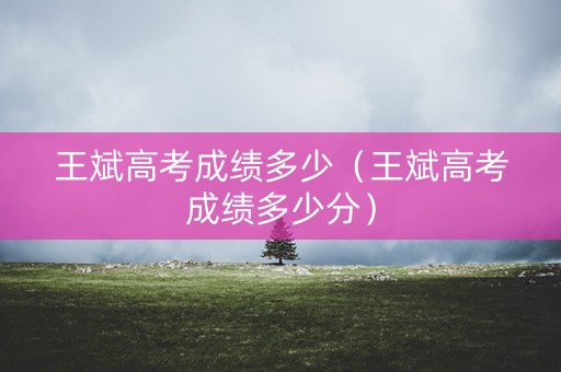 王斌高考成绩多少（王斌高考成绩多少分）