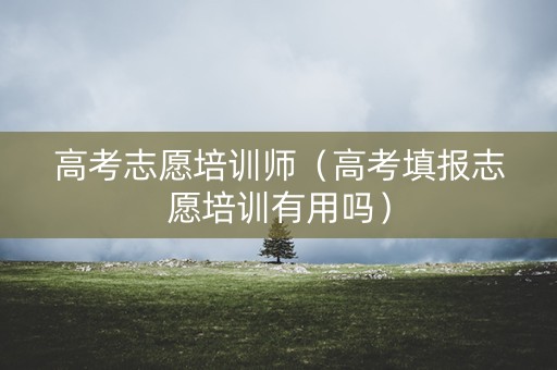 高考志愿培训师（高考填报志愿培训有用吗）