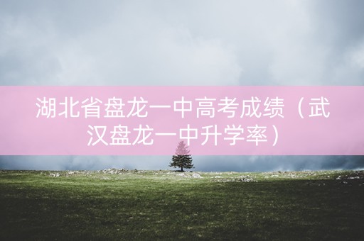 湖北省盘龙一中高考成绩（武汉盘龙一中升学率）