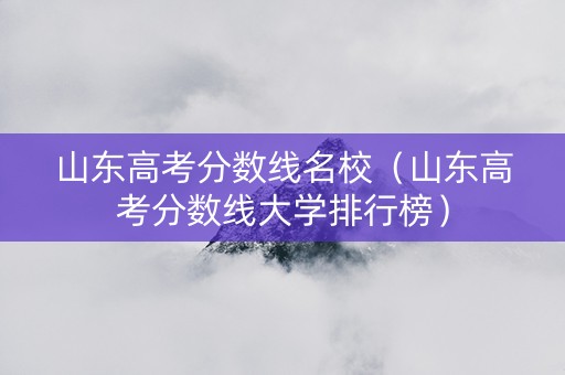 山东高考分数线名校（山东高考分数线大学排行榜）