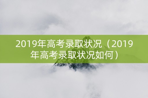 2019年高考录取状况（2019年高考录取状况如何）