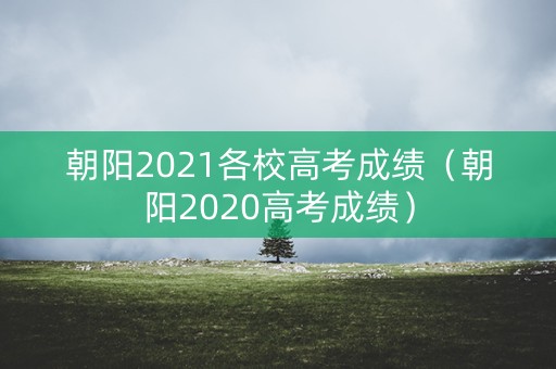 朝阳2021各校高考成绩（朝阳2020高考成绩）