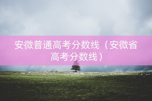 安微普通高考分数线（安微省高考分数线）