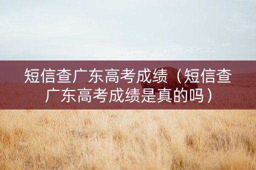 短信查广东高考成绩（短信查广东高考成绩是真的吗）