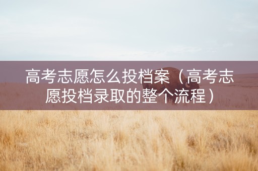 高考志愿怎么投档案（高考志愿投档录取的整个流程）