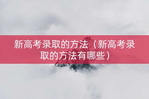 新高考录取的方法（新高考录取的方法有哪些）