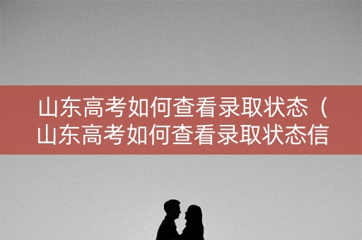 山东高考如何查看录取状态（山东高考如何查看录取状态信息）