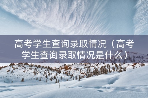 高考学生查询录取情况（高考学生查询录取情况是什么）