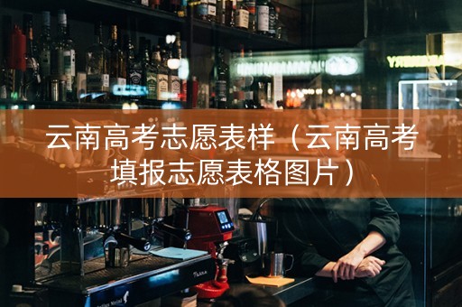 云南高考志愿表样（云南高考填报志愿表格图片）