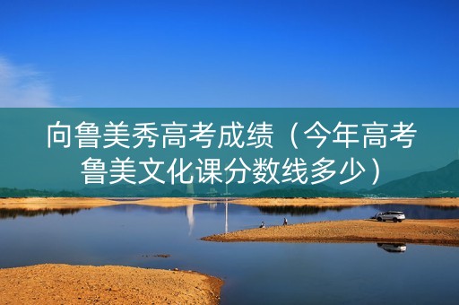 向鲁美秀高考成绩（今年高考鲁美文化课分数线多少）