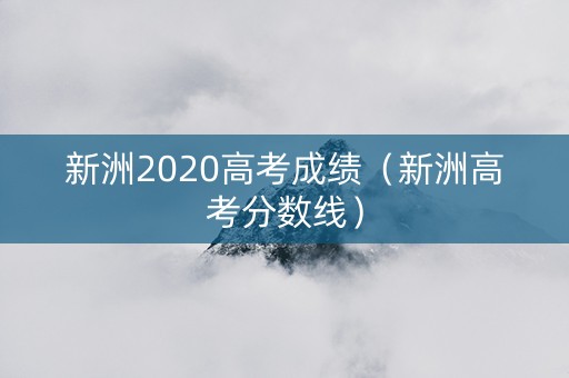 新洲2020高考成绩（新洲高考分数线）