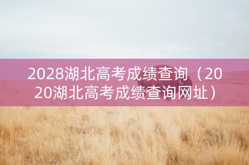 2028湖北高考成绩查询（2020湖北高考成绩查询网址）