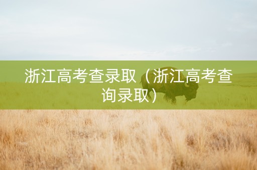 浙江高考查录取（浙江高考查询录取）
