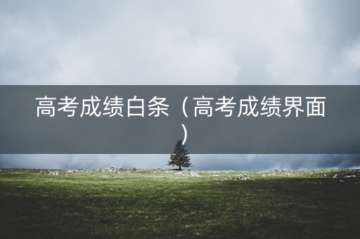 高考成绩白条（高考成绩界面）
