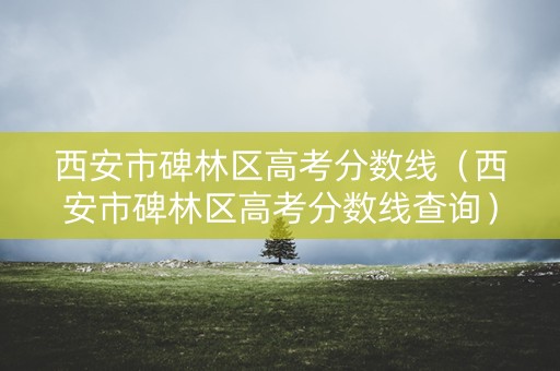 西安市碑林区高考分数线（西安市碑林区高考分数线查询）