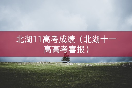 北湖11高考成绩（北湖十一高高考喜报）