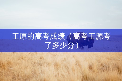 王原的高考成绩（高考王源考了多少分）