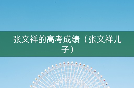 张文祥的高考成绩（张文祥儿子）