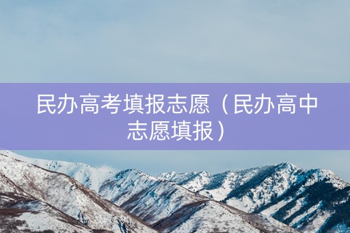 民办高考填报志愿（民办高中志愿填报）